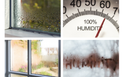 Deal With Indoor Humidity Naturally