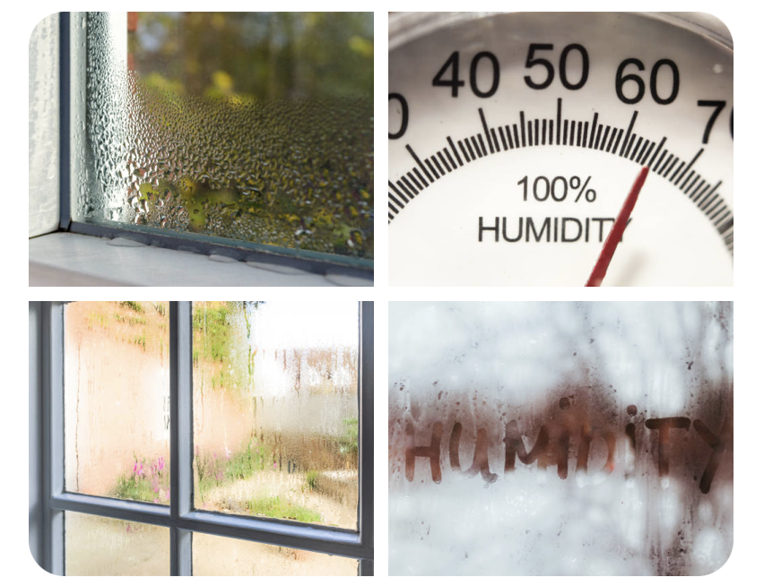 Deal With Indoor Humidity Naturally